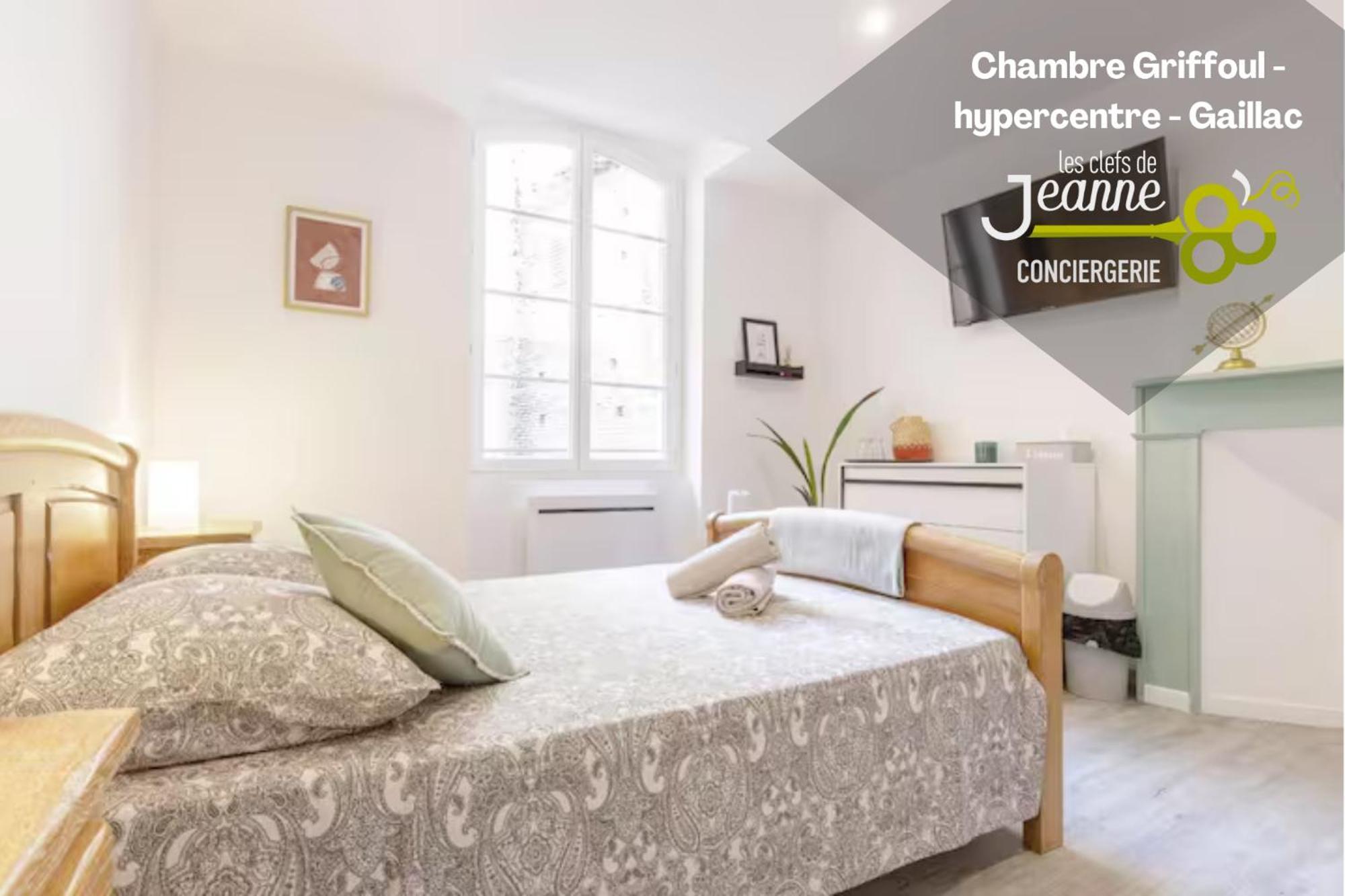 Chambre Griffoul - Hypercentre - Gaillac Ngoại thất bức ảnh